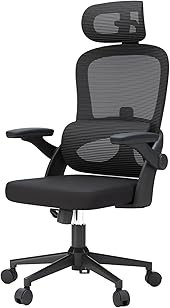 SIHOO M102C Ergonomic Mesh Office Chair, High Back Desk Chair with 3D Armrests, Up&Down...